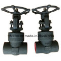 ANSI Forged Carbon Steel A105 Thread NPT Gate Valve